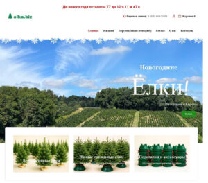 Online Store for Christmas Trees and Holiday Decorations